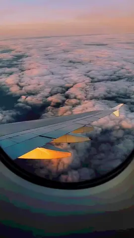 اشتقنا للديرة اي والله 💔✈️ #سفر #غربة #هجرة #وطن #السعوديه #لبنان #الرياض 