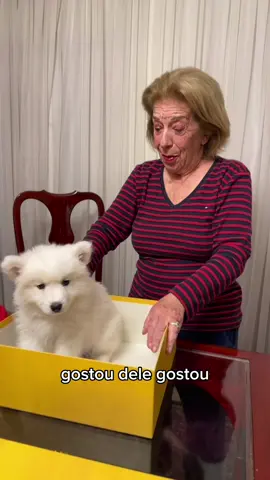 Ela amou o presente 💖👑 #mariaberklian #rainhadobrasil #tabarato #humor #comedia #compras #fy #fyp #viral #tiktok #tiktoker #grandma #diadosavos #family #pets #Love #animals #fouryou #fouryoupage 