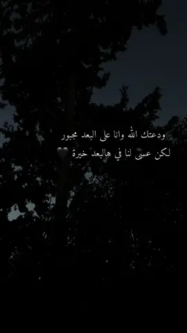 🖤#fypシ #اكسبلور #اقتباسات #foryou #fyp #ستوريات #طبوش_عطير #تصويري📸 