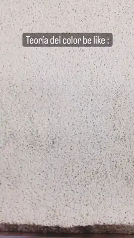 Teoría del color #teoria #outfit #colors #colores #colordepiel #memes #follow #question #queopinas #psicologia #loveyoutiktok #comedia #funny #blooper #loveyou #like #mexico #viral 