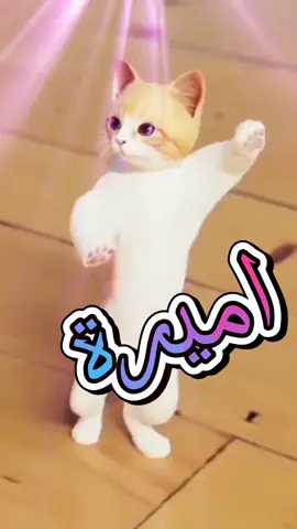 منشن اميرة 👸 #تصميم_حسب_الطلب  #CapCut #fyp #foryou #viral #tiktok #Love #foryoupage #keşfet #تصميم_اسماء #تصميمي #ترند_القطة #اكسبلورر #مشاهير_تيك_توك #اميرة 