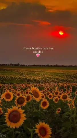 Para tus lindos estados💗#amorproprio Apóyame con un❤️