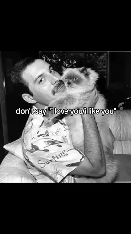 #freddymercury #freddy #Queen #queen #lovemeliketheresnotomorrow #lyrics 