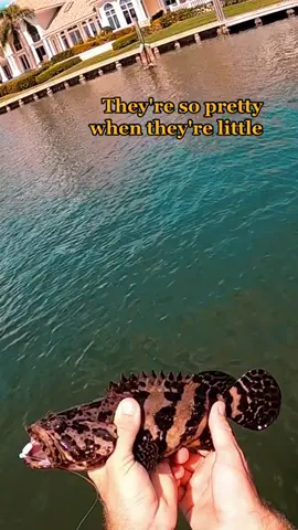 #fishing #fish #gofishing #fishinglife #omg #wow #amazing #fyp #foryou #foryoupage #viral