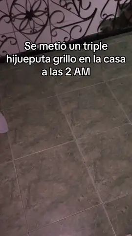 #costeños #pepegrillo #humor #villavicenciometa 
