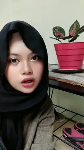 kucing siapa nii 