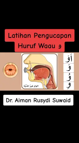 Latihan Pengucapan Huruf Waau و oleh Pakar Qira'ah: Dr. Aiman Rusydi Suwaid #belajarquran #makhraj #ngajiquran #fyp 