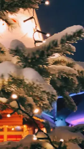 Christmas makes me feel at the Fairy tale world🥰🥰🥰#christmas#christmaslight#christmaslights#christmastree #christmascountdown #christmas2023#christmastiktok #christmasdecor #christmasgift #christmaseve #christmasholiday#ledlights #lighting