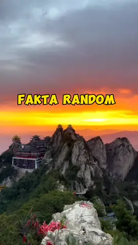 Kamu butuh fakta random? info lain disini>@Daily Facts Indonesia✨  #faktarandom #faktaunik #faktamenarik #faktadunia #duniahewan #foryou #infoterkini #tiktokindonesia 