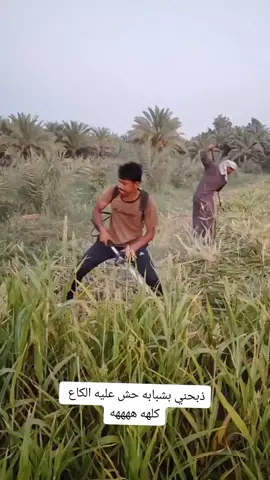 شباب بنات متابعه اؤلايك فدؤه هاذه حسابي الرسمي مال النشر @يوميات جعفر 