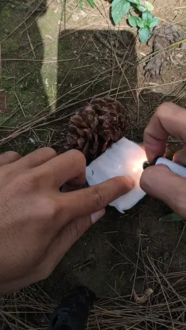 Membalas @benddull Apakah percikan dari korek gas yang sudah habis bisa menyalakan charcloth alias arang kain? Simak videonya berikut ini, saya tambahkan beberapa trick lifehack yang lain dimana kalian masih bisa membuat api menggunakan korek gas yang kosong, berguna saat darurat, tidak berguna kalau ada warung terdekat.  #bushcraft #tips #hack #fire #firelighter #firecraft #survival #survivalfire #bushman #LifeHack #emergency #emptylighter #bocahhutan666 #skills #tipsandtricks 