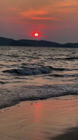 หัวใจและไส้ติ่งของฉันจะเป็นของเธอเสมอนะ  #tthissong2u #song #music #fyp #serendipity #albertposis 