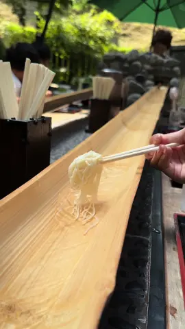 緑に囲まれた庭園で「流しそうめん」をたのしめるお店！10月までやってるから鎌倉観光の際はぜひ立ち寄ってみて！ 「茶屋かど」 (Chaya Kado) 📍 神奈川県鎌倉市山ノ内1518 (1518 Yamanouchi, Kamakura City, Kanagawa Prefecture) #japanesefood #japanfood #japan #tiktokfood #神奈川グルメ