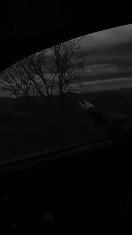 #lostemerariosfan💙 #lostemerarios🎶🎵💓 #inolvidables #siquierovolver #grupos #romanticasparadicar #paramiex @tiktokglobal @TikTok 