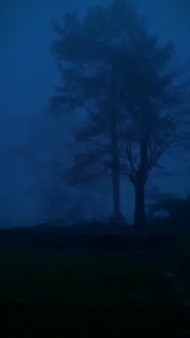 never see you again - antent #fyp #calm #darkaesthetic #ambient