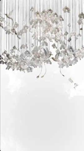 حفلة اهل الجود ماني مخليها #دعوات_الكترونيه #تهنئة_زواج #تهنئة_ام_المعرس #تهنئة_ام_العروس #مهنا_العتيبي 