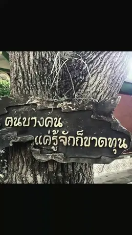 #เธรดรูปภาพ #เพื่อน #เธรดเพื่อนปลอมๆ #เธรดหักหลัง #เธรดรวมความรู้สึก #ฟีดเถอะขอร้อง #พันธมิตรแบบชําระเงิน #ฟีดดดシ 