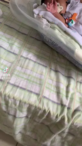 Te levanta, sem vergonha 