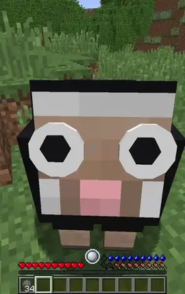 goofy guy #cxlvxn #Minecraft #rlcraft #minecraftmemes #mcyt #fyp #markiplier #dreamsmp #dreamwastaken #moddedminecraft 