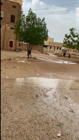 #الوادي #المكلا_عشق_حضرموت #اليمن #البلده #دوعن_حضرموت_الوادي #منوب #عمد #خميس_مشيط #نجران #السعودية #حضرموت #اليمن #الوادي #وادي_الدواسر #امطاراليوم #امطار_الجنوب #اليمن_صنعاء_تعز_اب_ذمار_عدن_وطن_واحد #مارب_شبوه_الجوف #العبر #المكلا #سيؤن #سيؤن_حضرموت #شبام_حضرموت_للقهوه_العسل #القطن #رخيه_الخشعه_القطن_شبام_وادي_دوعن #رخيه_الخشعه_العبر_ثمود_رماه #مغنى #