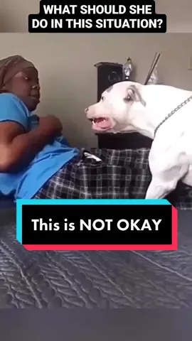 This Aggressive Dog Needs Training IMMEDIATELY #dog #dogs #puppy #bullybreeds #doglover #dogmom #fyp 