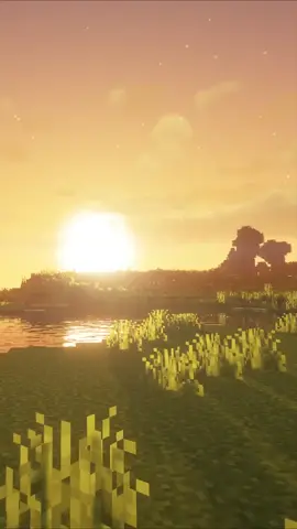 #Minecraft #fondosdepantallaanimados #foryou #parati #relajante #puestadesol #relax 