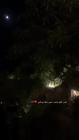 ‏احب ⁧‫الليل‬⁩  واحب اسهر معك ليـــالي ♥️🎼. #CapCut #اكسبلور #تصويري #لايك #الطائف 