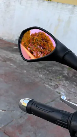 RETROVISOR @GVS SPORT MOD F800 LENTE RUBI 😍 Salve galera boa pa noix ✌🏽 Hoje trago pra voces o novo lançamento GVS SPORT regrovisor modelo bmw f800 com lente rubi que além de uma melhor visão ainda trás um visual muito mais bonito pra sua moto 😍 #mayconaragao #maycon #gvs #gvssport #retrovisorbmw #retrovisorkawasaki #bm #f800 #z400 #retrovisor #lancamento #lenteazul #lenterubi #acessorio #peca #manutencao #titan150 #titan150cc #150 #1502008 #150carburada #titan #fan #start #londrina #estetica #sport #top 
