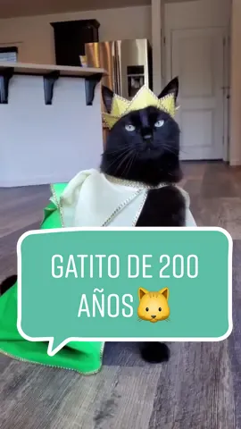 Alimentación Sana para Mascotas 🐶🐱 #nutricioncaninayfelina #nutricionfelina #nutricionfelina #amoamismascotas #comidaparaperros #comidaparagatos #mascotas