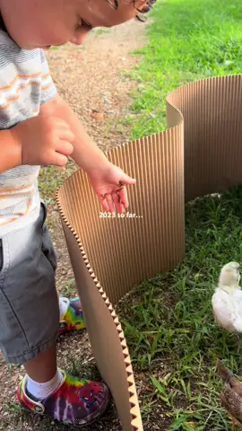 I love these templates 🥹🫶🏽 #capcut #pregnancy #family #hectikhomestead #farm #chickens #pigs #turkeys 