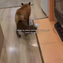 yo, tan yo...tu eres así también? 😅#foryou #fyp #xyzbca #novios #novio #dramatica #novia #CapCut #msxliiz 