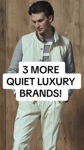 3 INCREDIBLE  ‘Quiet Luxury’ Brands.  If you’re wanting the ‘old money’ look for at a mid-tier price point, I highly recommend these 3 clothing brands.   1. Grand Sasso  2. Theory  3. Eleventy  #oldmoneyaesthetic #oldmoney #quietluxury #clothingbrand 