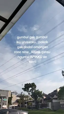 golek opo ter😂 #aseksuroboyo #suroboyo #surabayabarat #gakpernahfyp #fyp #fypシ #liarpetemon #djfunkot #sbybarat 