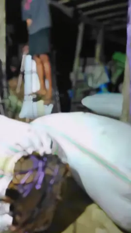 tetap semangat 💪#kalimantanutara #sebatik 