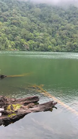 Beathtakingly beautiful 📍Lake Duminagat✨🤍 #lake #lumad #missoccidental #the_ph #itsmorefuninthephilippines #mindanaotiktoker 