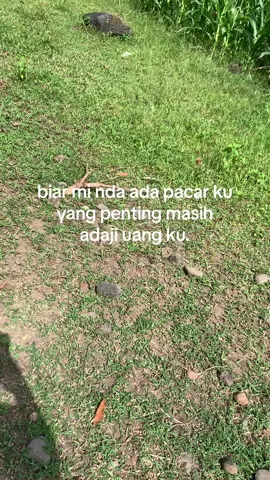 #sulawesiselatan #bugismakassar #nyonyang #bugistiktok #fyp #bugisstory 