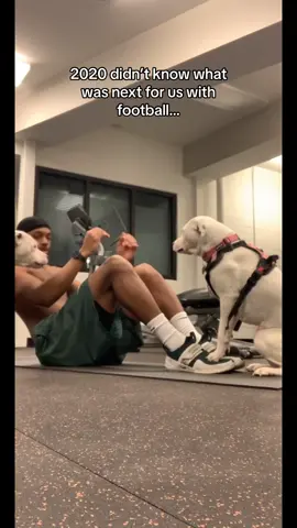 Always chase the goals you have set for yourself ❤️ #dogs #football #joshbutlertv #roxyandremi #viral #race 