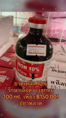 ธาตุเหล็ก 10% รักษาเลือดจางลูกหมู 100 ml. เพียง ฿150.00! อย่าพลาด   #คนเลี้ยงหมู  #คนเลี้ยงหมูหมูเลี้ยงคน #คนเลี้ยงหมู🐖🐖 #คนเลี้ยงหมู🐖🐖 