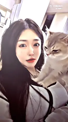 Ini akibat kalau kucing terlalu di manjakan 🗿🤣😂#presetalightmotion #presetxml #presetcewekcantik #presetkece 