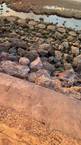 lagi dan lagi🌅🫶#senja #sunset #nttpride🏝🔥 #storysunsetestetik #kupang #fypシ #fyp #sunsetkupangntt #storytimur 