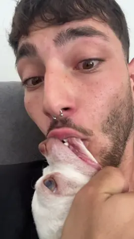 My new Vape🤣🤣(זה לא וואיפ זאת ניקי האייקונית הישראלית שמביאה כבוד לישראל בכל העולם) #fyp #chihuahua #nikiozeri #mreviatar #angrydog #niki #dog 