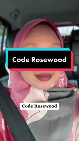 Lurve code rosewood 😍 #wansuexheyowshu #wansuebeautylipmatte #wansuebeauty #wansuelipmatte 