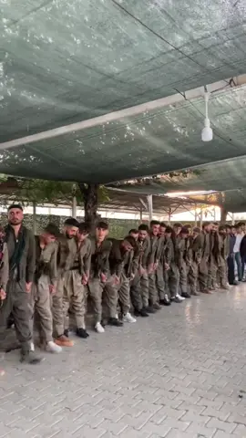 Kurdish dance #kurdish #kurdistan #kurdishdance #danza #servano 