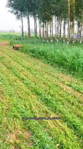 Robô cortador de grama. #agronomia #agricultura #fazenda #agro #tecnologia #dicas #dica #campo 