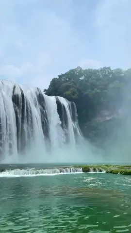 Địa vô tam lý bình, thiên vô tam nhật tình!  Thác Hoàng Quả Thụ khí thế phi phàm, hùng vĩ đồ sộ!#Núi đẹp, nước đẹp, phong cảnh đẹp.#Thác Hoàng Quả Thụ#Tiên cảnh nhân gian đẹp như tranh vẽ#Phong cảnh hệ trị liệu.