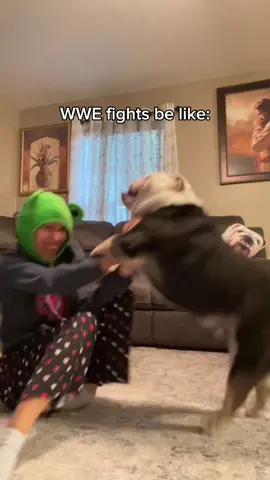 Dog cena 😂🧿 #WWE #johncena #englishbulldog #bulldog #dog #dogsoftiktok #dogs #doggo #funny #funnyvideos #funnydog #lol #fight #wrestling #explorepage #viral #viralvideo #viraltiktok #meme #foryou #foryoupage #fypシ #fypage #fyp #bro 