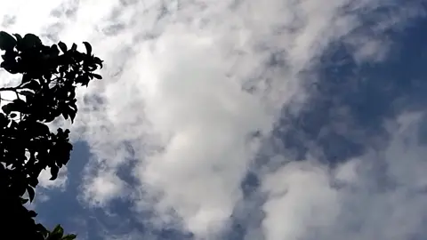 để đt ngoài tr 1 tiếng để lmj vid :> đt bị ngã, tớ cắt khúc đó r :>> (hình như vid tớ tua hơi nhanh nhg cx mún đc xh 1 lần 🤗) #canhbautroi #canhdep #maytroi✨ #xuhuong #xyzbca #fyp #viralvideo 