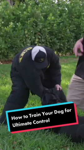 How to Train Your Dog for Ultimate Control #dog #dogs #puppy #canecorso #canecorsoitaliano #doglover #fyp 