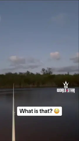 What do y’all think that is?! 👀😳😯 (Via @garrett.gearhart) #Worldstar #Fyp #viral 