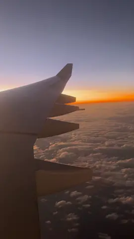 #fyp #flight #aviation #sunset #airbus #a330 #aviationlovers #aviationlife #aviationdaily #aviationtiktok #hawaiian #hawaiianairlines 